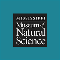 Natural Science Museum logo