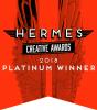 Hermes Platinum Winner - MISSI Chatbot